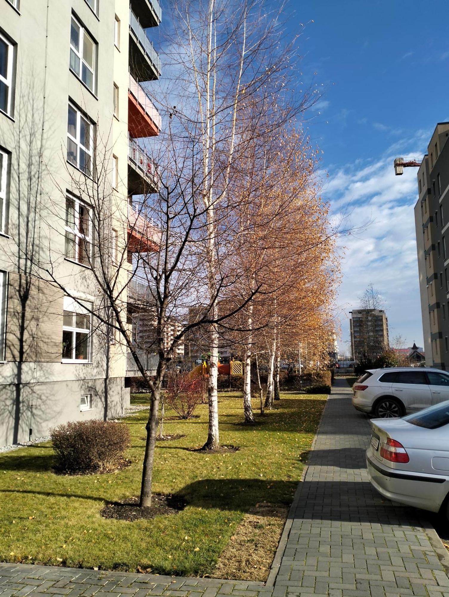 M&I Dream Stay Braşov Exterior foto
